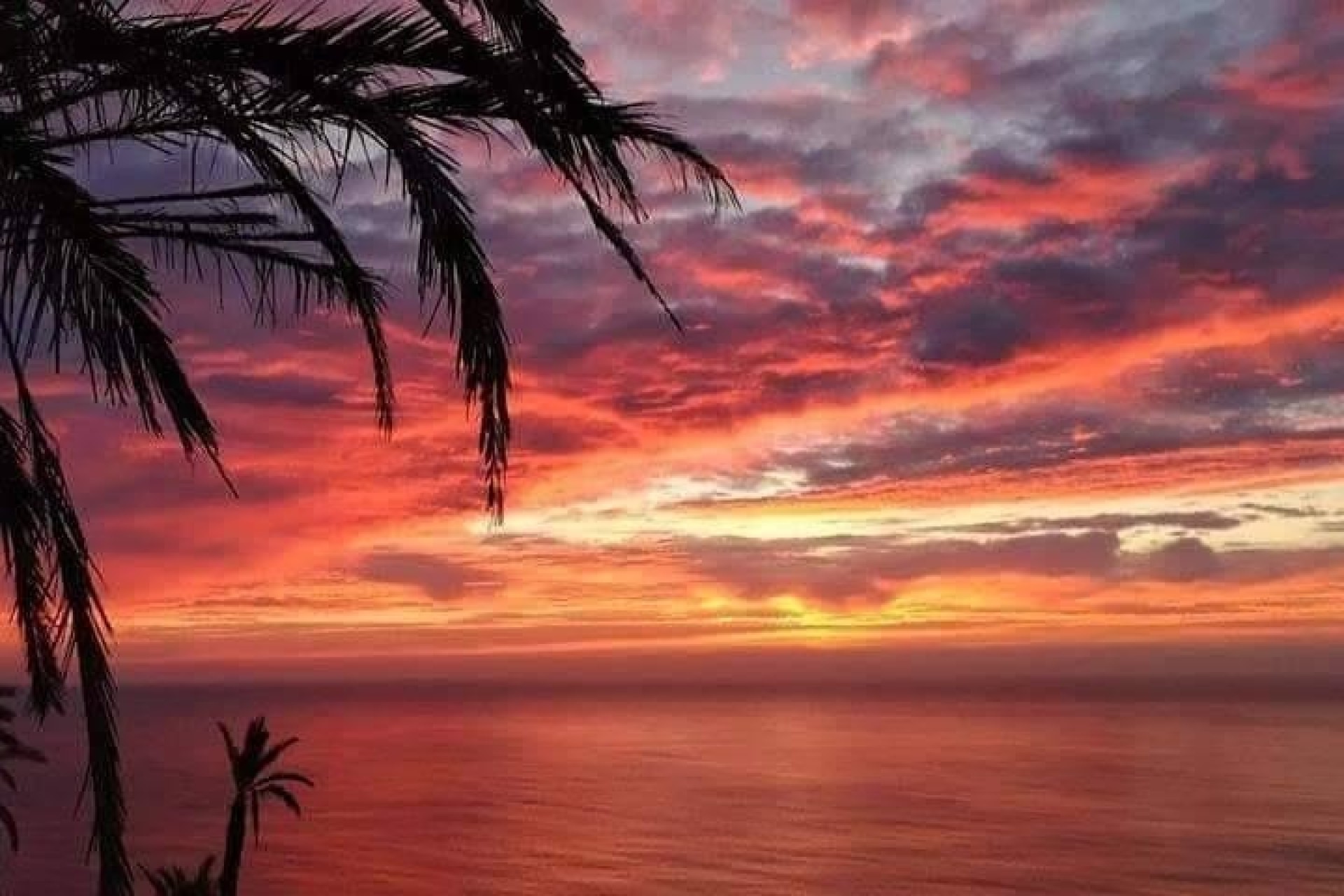 Obra Nueva - Apartamento / Piso -
Torrevieja - Altos del Sol