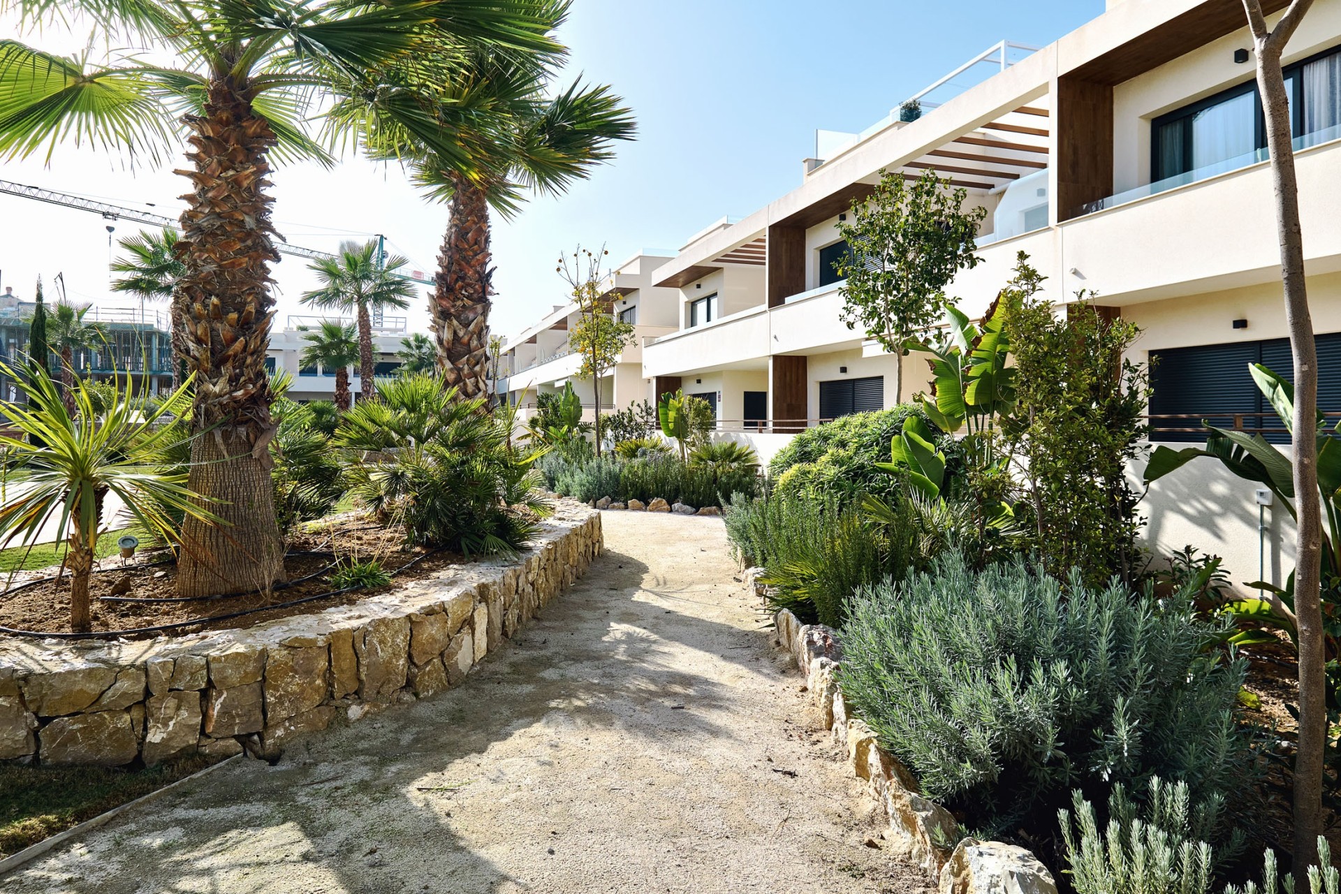 Obra Nueva - Apartamento / Piso -
Torrevieja