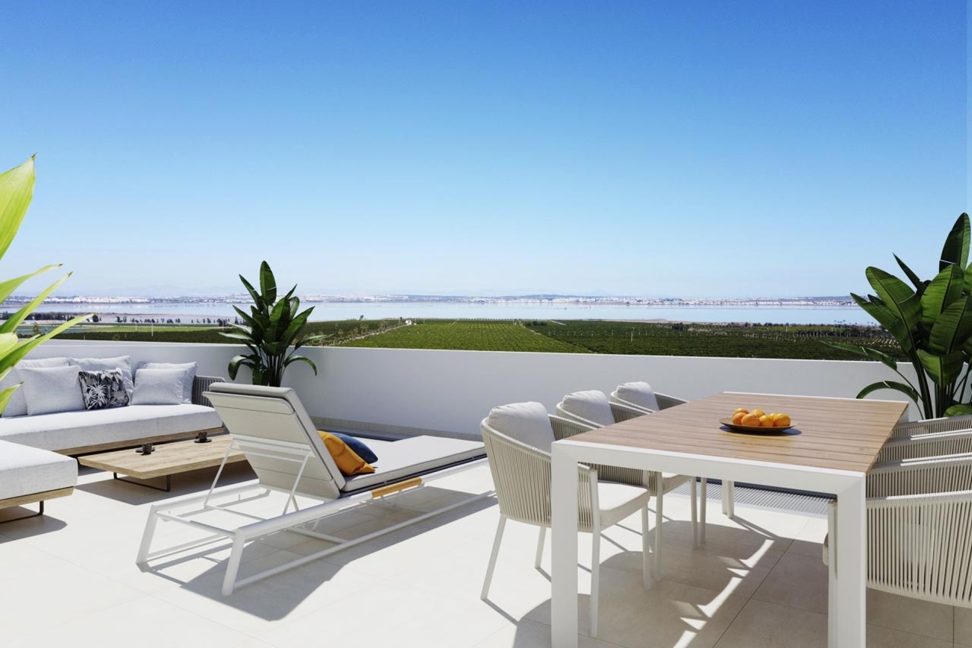 Obra Nueva - Apartamento / Piso -
Torrevieja