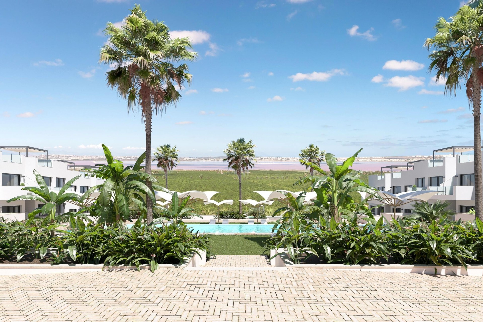 Obra Nueva - Apartamento / Piso -
Torrevieja