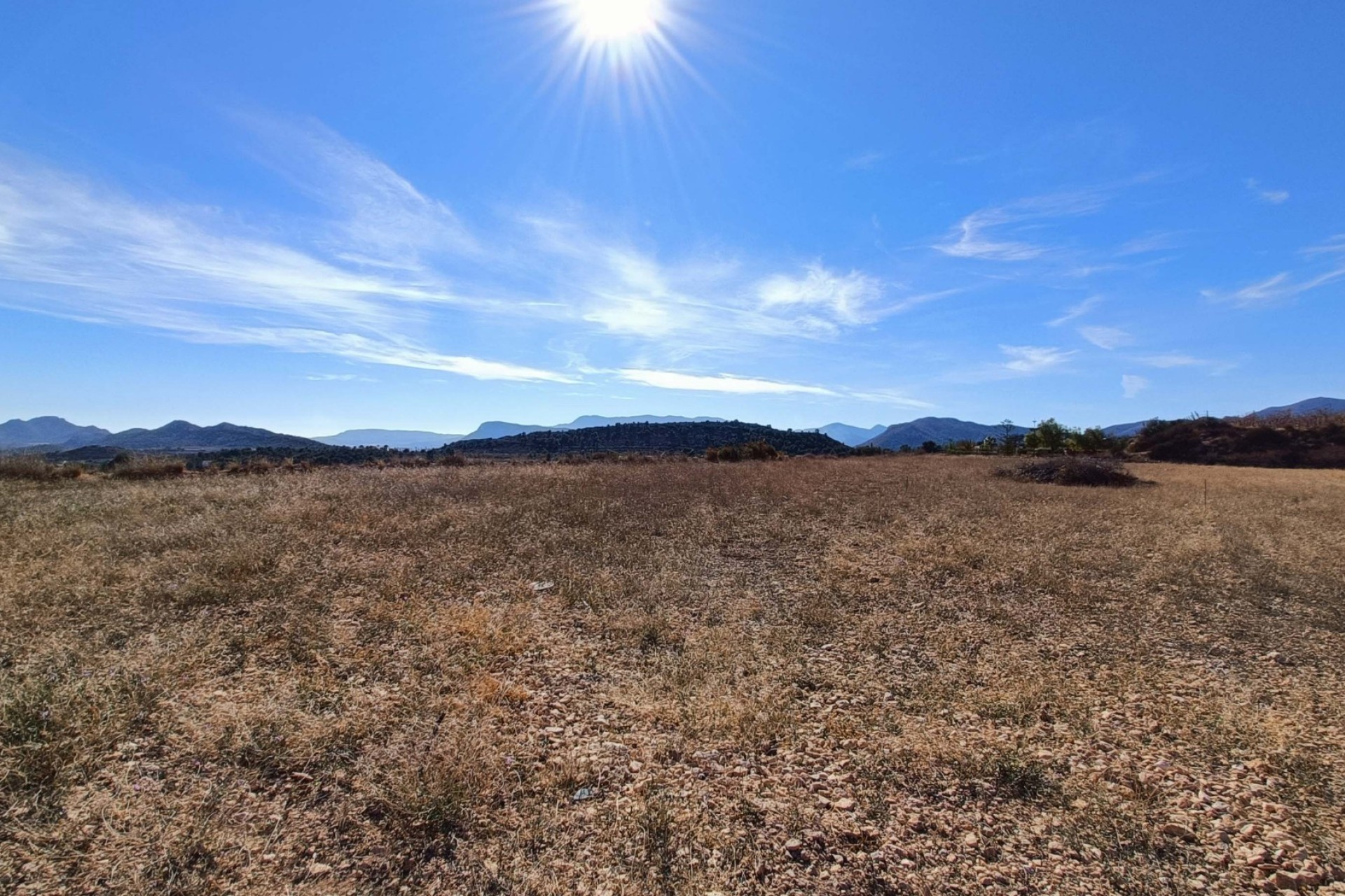 Obra Nueva - Chalet Independiente -
La Romana