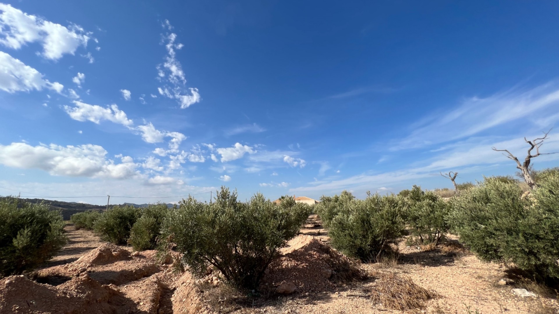 Obra Nueva - Chalet Independiente -
Macisvenda