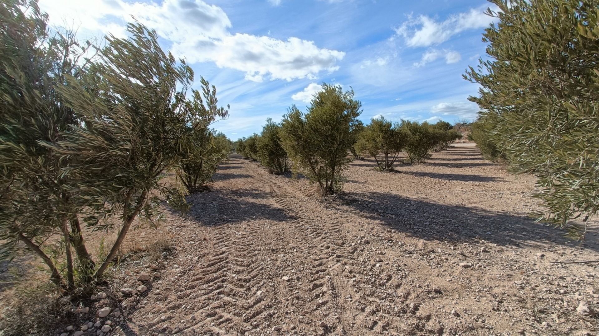 Obra Nueva - Chalet Independiente -
Macisvenda