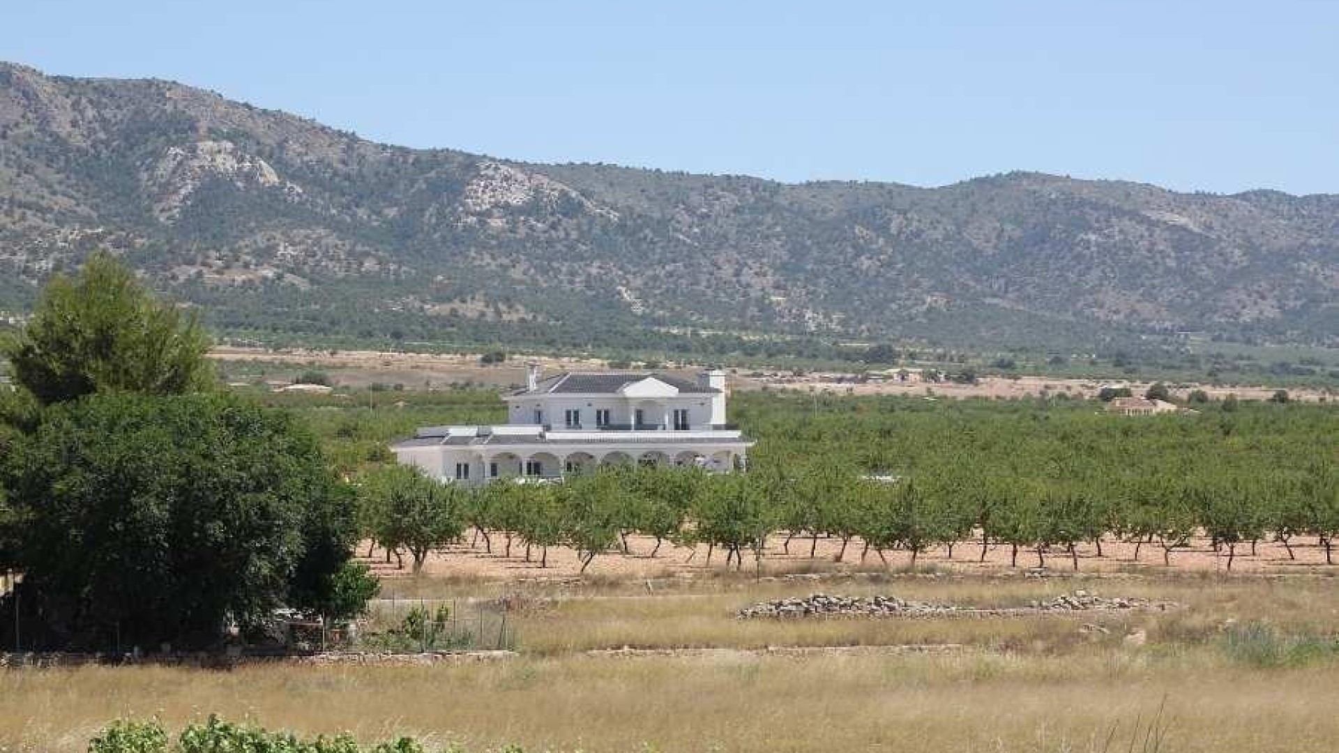 Obra Nueva - Chalet Independiente -
Pinoso - Camino Del Prado