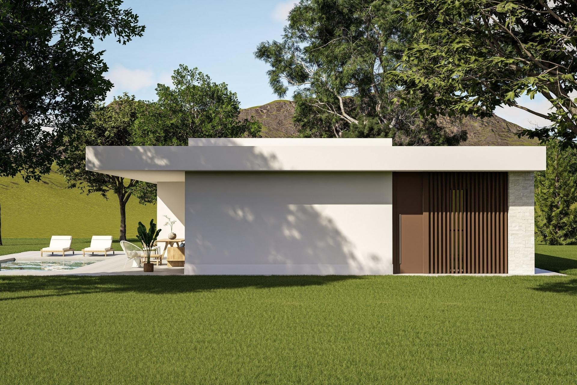 Obra Nueva - Chalet Independiente -
Pinoso - Lel