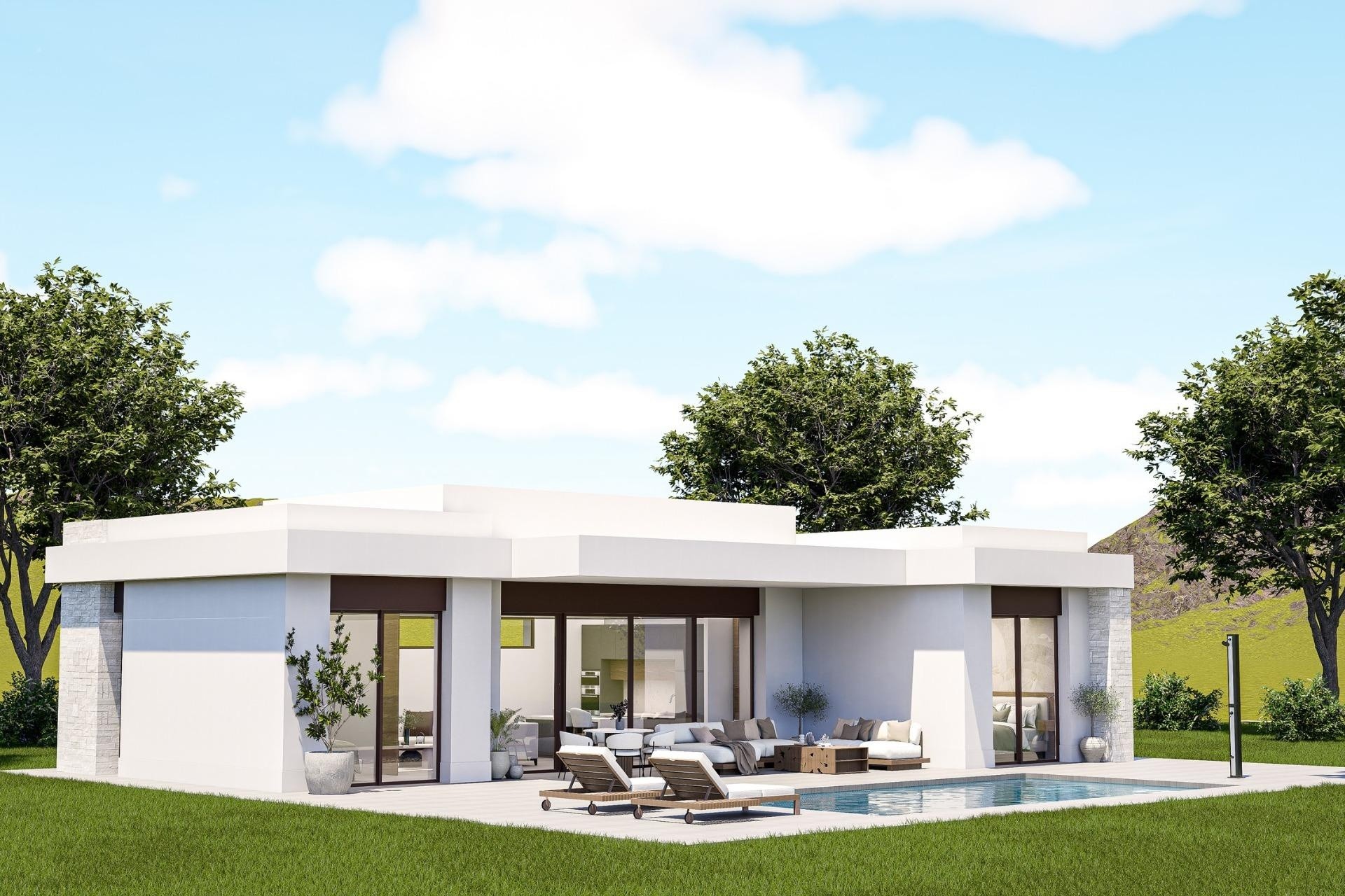 Obra Nueva - Chalet Independiente -
Pinoso - Lel