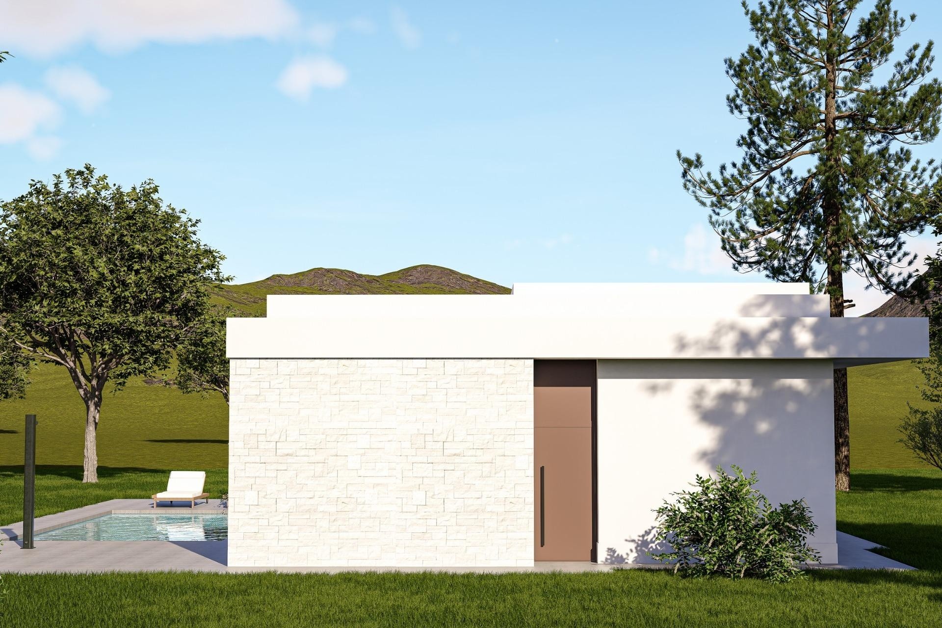 Obra Nueva - Chalet Independiente -
Pinoso - Lel