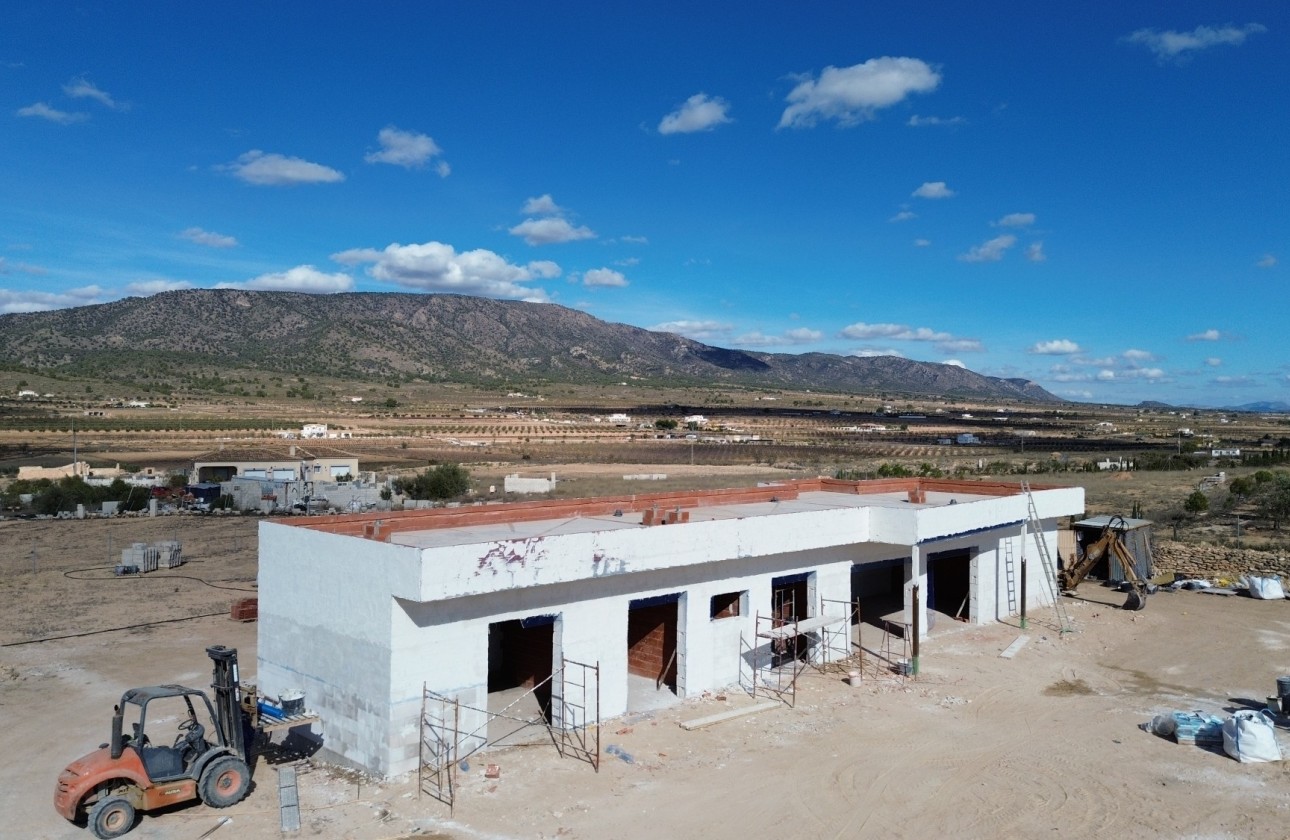 Obra Nueva - Chalet Independiente -
Pinoso