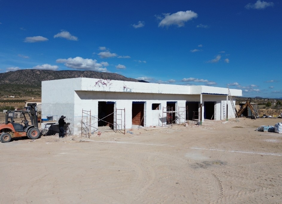 Obra Nueva - Chalet Independiente -
Pinoso