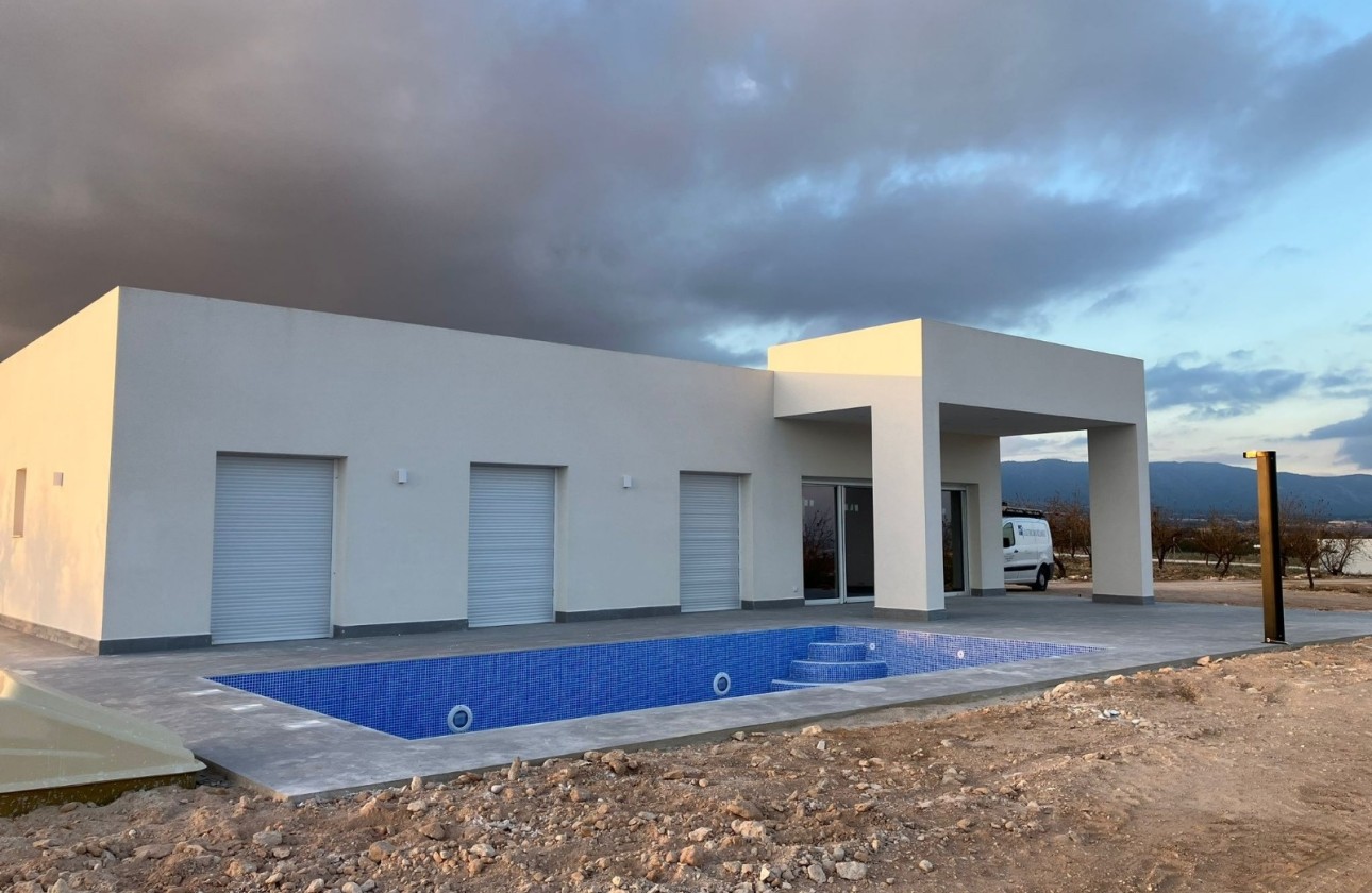 Obra Nueva - Chalet Independiente -
Pinoso