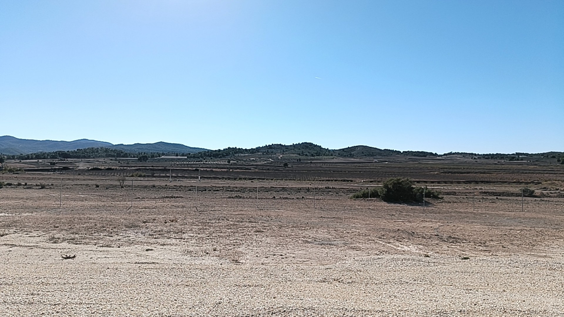 Obra Nueva - Chalet Independiente -
Pinoso