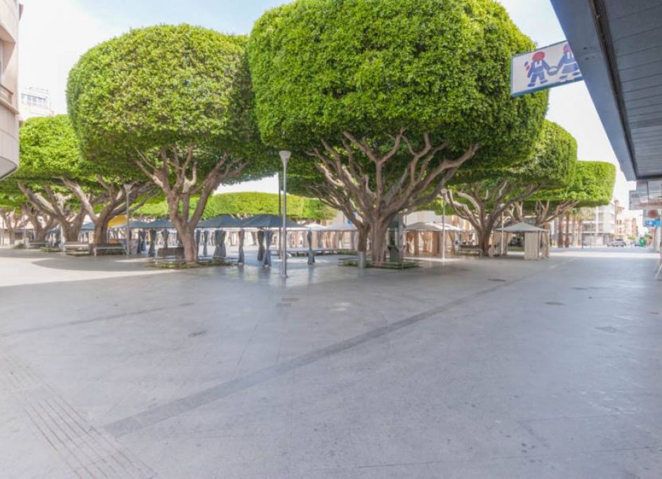 Obra Nueva - Comercial -
Almoradí - Almoradí Centro