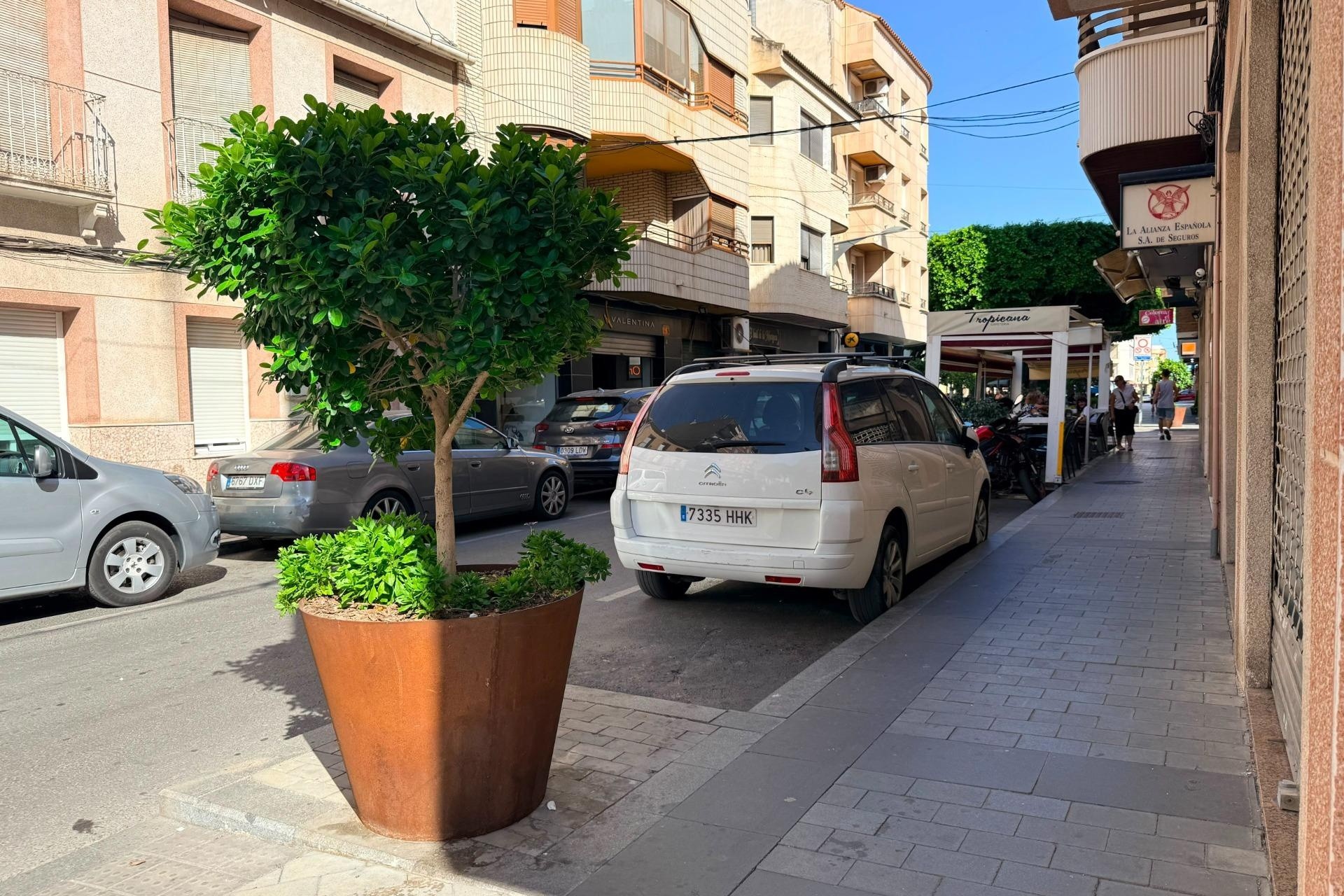 Obra Nueva - Comercial -
Almoradí