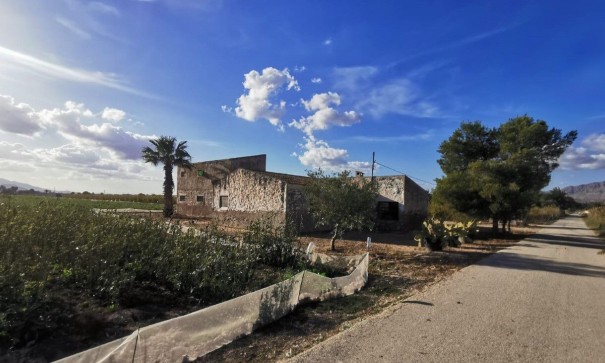 Parcela Terreno - Venta - Albatera - Albatera