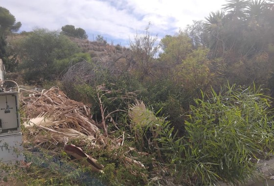 Parcela / Terreno - Venta - Algorfa -
                Algorfa