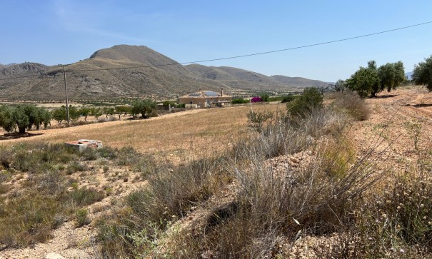 Parcela Terreno - Venta - Barbarroja - Barbarroja