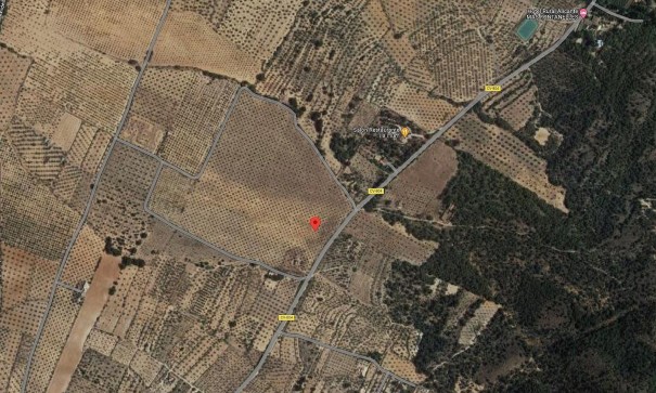 Parcela Terreno - Venta - Biar - Biar