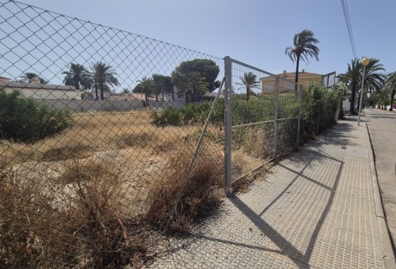 Parcela / Terreno - Venta - Cabo Roig - Cabo Roig