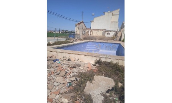 Parcela Terreno - Venta - Catral - Catral