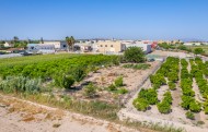 Parcela Terreno - Venta - Formentera del Segura - C3K-54825