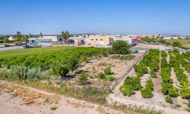 Parcela Terreno - Venta - Formentera del Segura - Formentera de Segura