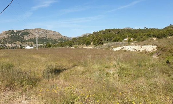 Parcela Terreno - Venta - La Romana - La Romana