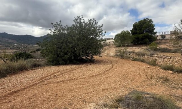 Parcela Terreno - Venta - La Romana - La Romana