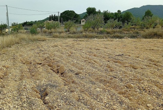 Parcela / Terreno - Venta -
        Monóvar - CA78-56299