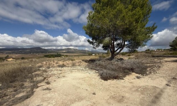 Parcela Terreno - Venta - Monóvar - Monóvar