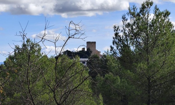 Parcela Terreno - Venta - Moratalla - Moratalla