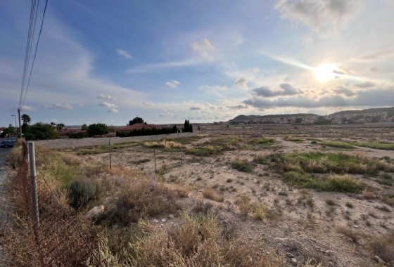 Parcela Terreno - Venta -
        Mutxamel - C4P-71001