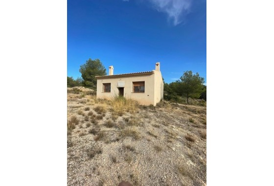 Parcela / Terreno - Venta -
        Pinoso - C8P-19689