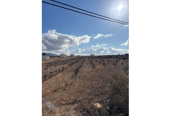 Parcela / Terreno - Venta - Pinoso -
                Pinoso
