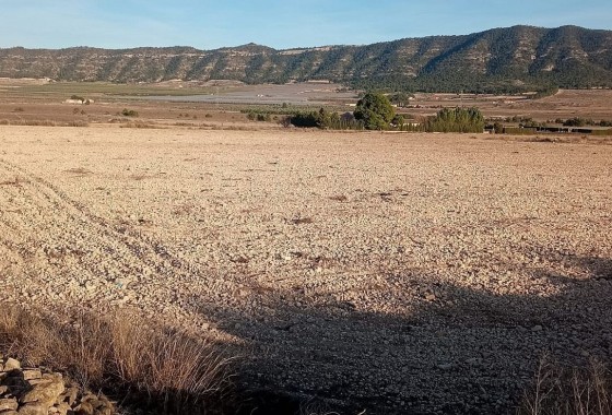 Parcela / Terreno - Venta -
        Salinas - C9J-48770