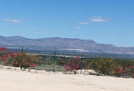 Parcela / Terreno - Venta - San Fulgencio - La Marina