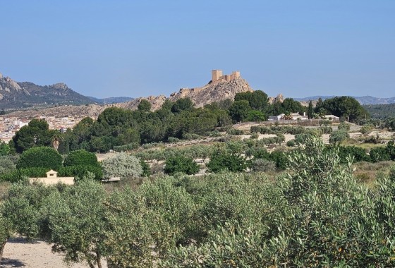 Parcela / Terreno - Venta - SAX - SAX