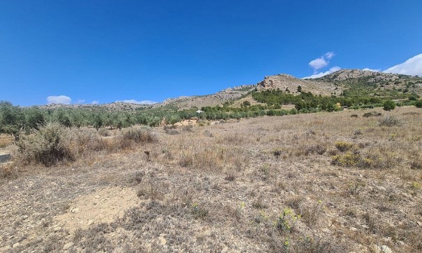 Parcela Terreno - Venta - SAX - SAX