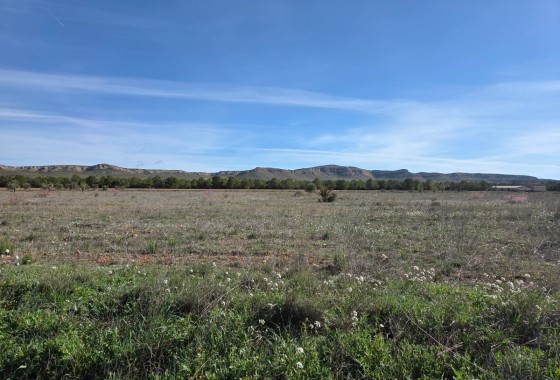 Parcela Terreno - Venta - Yecla -
                Yecla