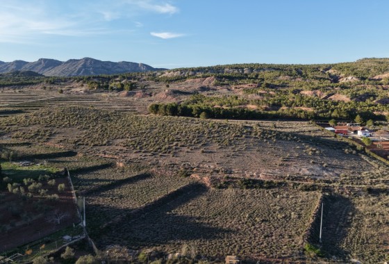 Parcela Terreno - Venta - Yecla -
                Yecla