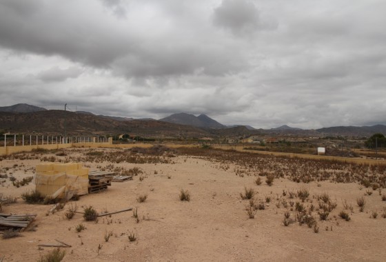 Parcelle Terrain - Revente -
        Abanilla - C5E-69647