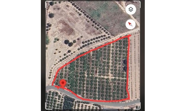 Parcelle Terrain - Revente - Albatera - Albatera