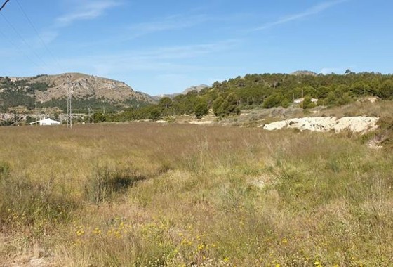 Parcelle Terrain - Revente -
        La Romana - CAH-22678