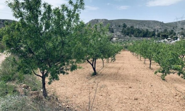 Parcelle Terrain - Revente - La Romana - La Romana