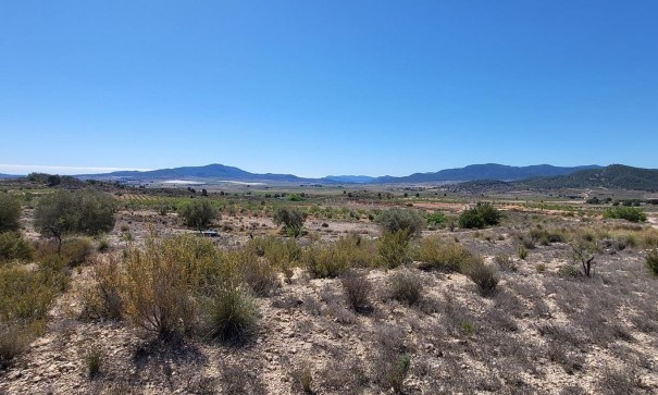 Parcelle Terrain - Revente - Monóvar - Monóvar