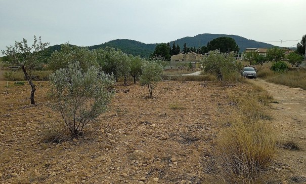 Parcelle Terrain - Revente - Monóvar - Monóvar