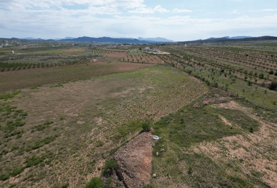 Parcelle / Terrain - Revente - Pinoso - Pinoso