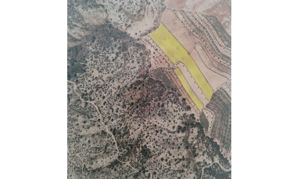 Parcelle Terrain - Revente - Pinoso - Pinoso