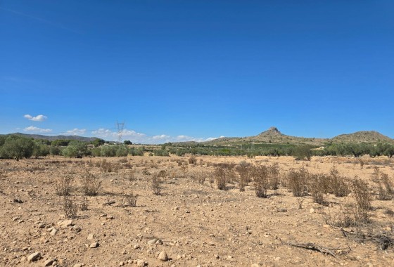 Parcelle Terrain - Revente -
        Salinas - C9J-61140