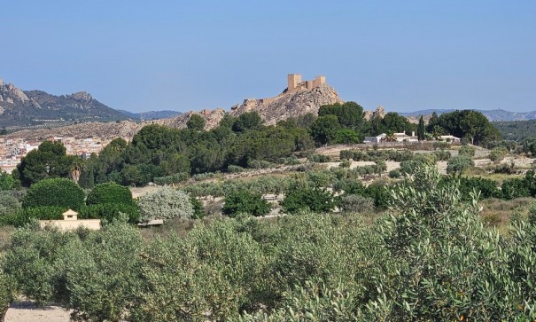 Parcelle Terrain - Revente - SAX - SAX