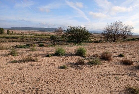 Parcelle Terrain - Revente -
        Yecla - C5E-38498